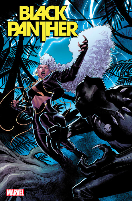 BLACK PANTHER #6 1:25 COCCOLO VARIANT