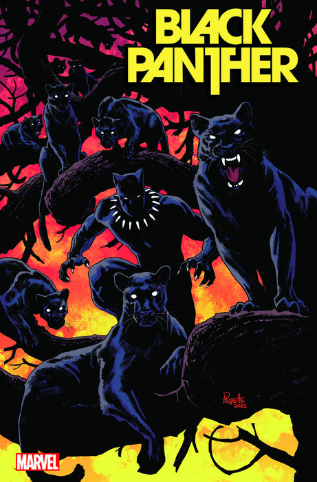 BLACK PANTHER #8 PAQUETTE VARIANT
