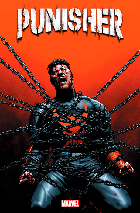 PUNISHER #12