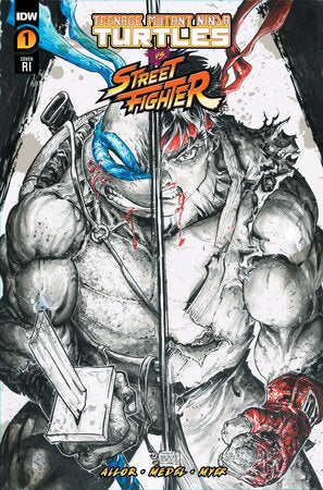 Teenage Mutant Ninja Turtles Vs. Street Fighter #1 Variant RI (1:100) (Federici)