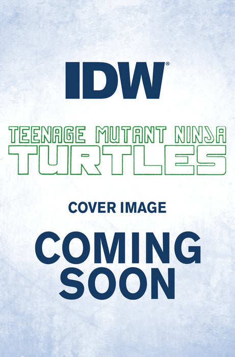 Teenage Mutant Ninja Turtles Vs. Street Fighter #2 Variant RI (1:25) (Federici)