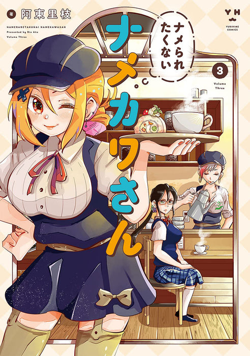 Namekawa-san Won't Take a Licking! Vol. 3