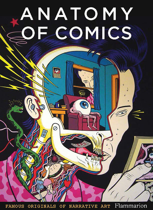 Anatomy of Comics