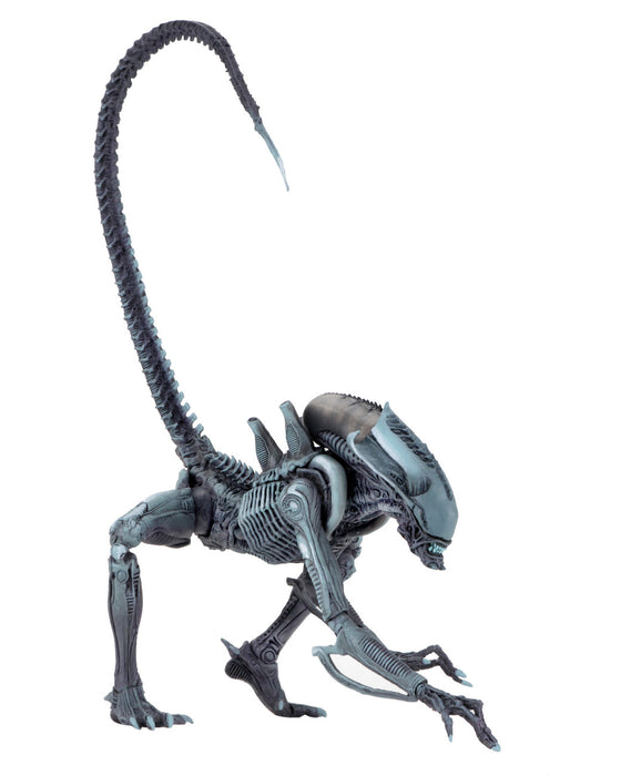 Alien Vs Predator Arcade Appearance Arachnoid Alien Action Figure