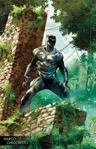 Black Panther (2017) #170 (Checchetto Young Guns Variant)