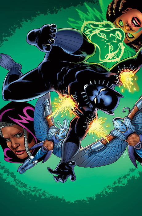 Black Panther (2016) #5 (Cassaday Story Thus Far Variant)