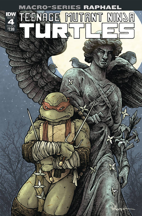 Teenage Mutant Ninja Turtles Macro-Series (2018) #4 (RAPHAEL CVR A PETERSEN)