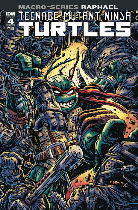 Teenage Mutant Ninja Turtles Macro-Series (2018) #4 (RAPHAEL CVR B EASTMAN)