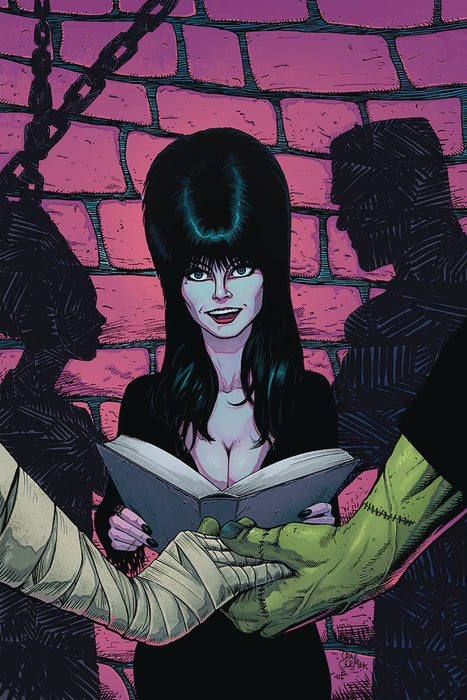 Elvira Mistress of the Dark (2018) #6 (1:10 CERMAK VIRGIN INCV)