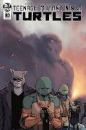 Teenage Mutant Ninja Turtles (2011) #90 (Cover A Dialynas)