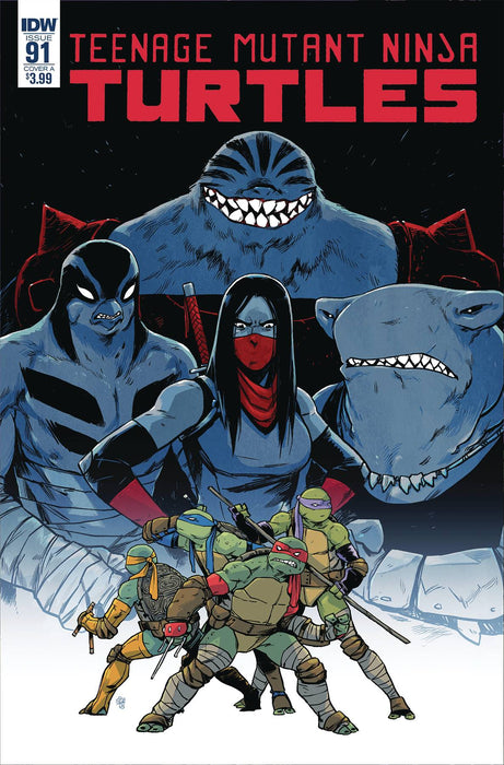 Teenage Mutant Ninja Turtles (2011) #91 (COVER A DIALYNAS)