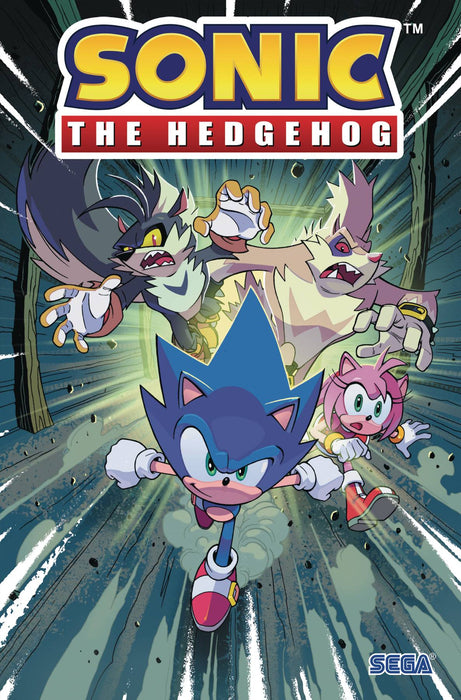 Sonic the Hedgehog, Vol. 4: Infection