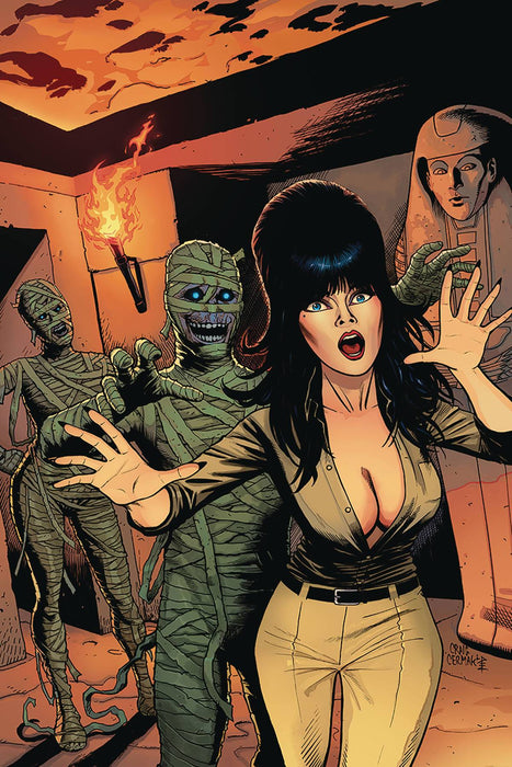 Elvira Mistress of the Dark (2018) #11 (1:10 CERMAK VIRGIN VARIANT)