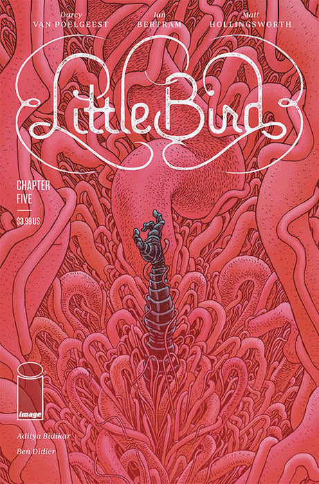 Little Bird (2019) #5