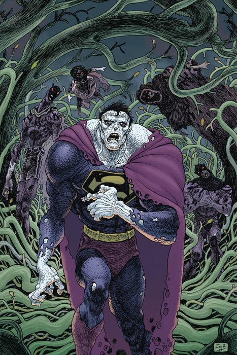 Black Hammer Justice League (2019) #2 (CVR C BERTRAM)