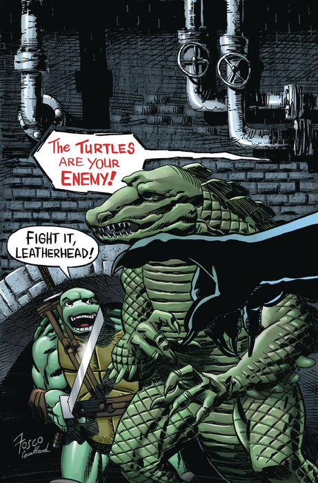 Teenage Mutant Ninja Turtles Urban Legends (2018) #18 (CVR A FOSCO)