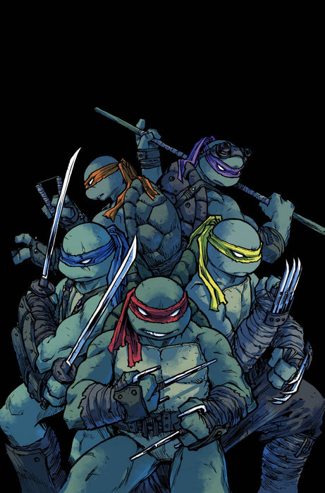 Teenage Mutant Ninja Turtles (2011) #101 (CVR A CAMPBELL)