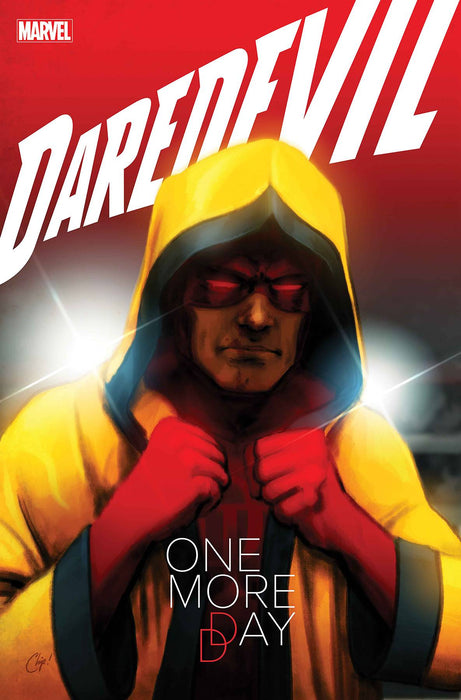 DAREDEVIL ANNUAL #1 #