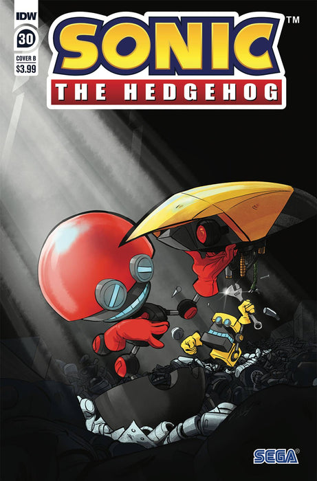 Sonic The Hedgehog (2018) #30 CVR B SKELLY