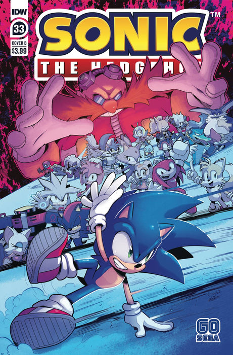 SONIC THE HEDGEHOG #33 CVR B DUTRIEX (C: 1-0-0)
