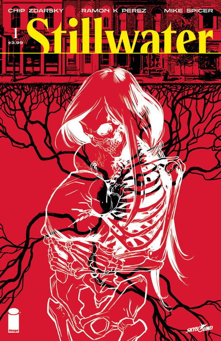 STILLWATER BY ZDARSKY & PEREZ (2020) #1 (MR)