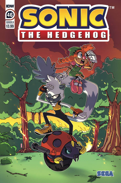 SONIC THE HEDGEHOG #46 CVR B JENNIFER HERNANDEZ (C: 1-0-0)