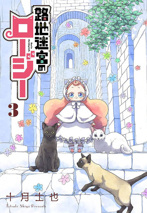 ROZI IN THE LABYRINTH GN VOL 03 (MR)