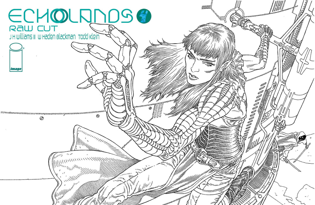 ECHOLANDS RAW CUT ED #4 CVR B RODRIGUEZ (MR)