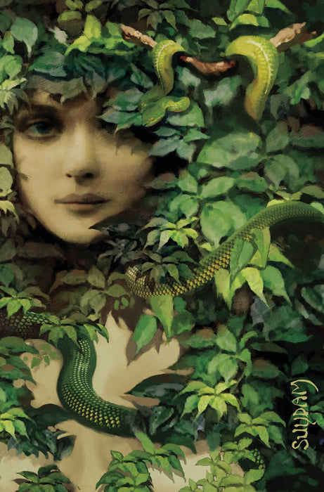 SHEENA QUEEN JUNGLE #2 CVR L SUYDAM LTD VIRGIN