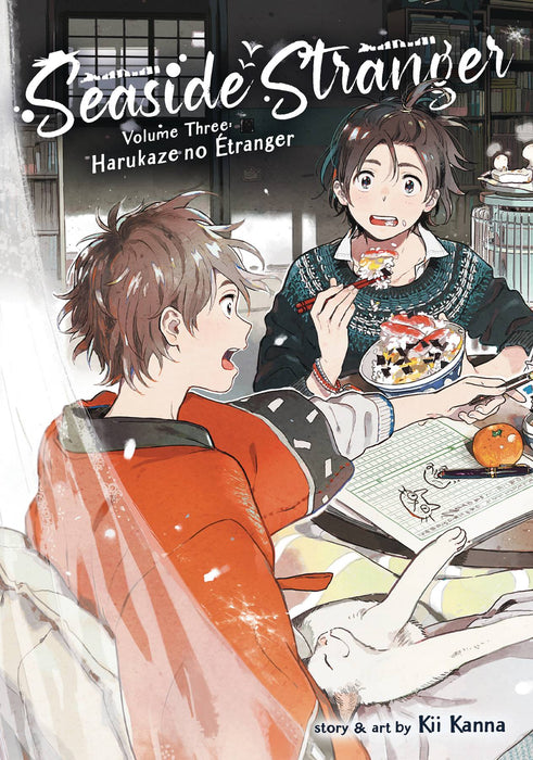 SEASIDE STRANGER GN VOL 03 HARUKAZE NO ETRANGER (MR) (C: 0-1
