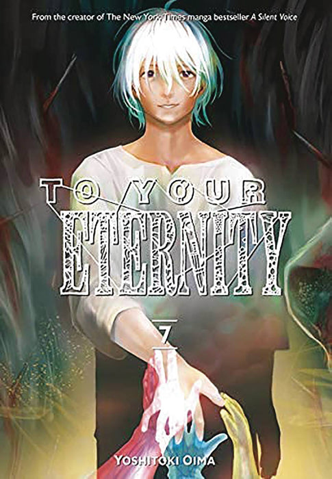 TO YOUR ETERNITY GN VOL 17