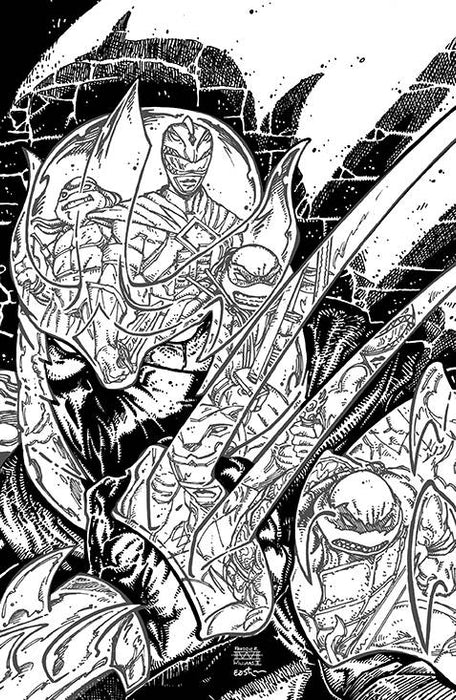MMPR TMNT II #2 (OF 5) CVR F 25 COPY INCV EASTMAN & WILLIAMS II