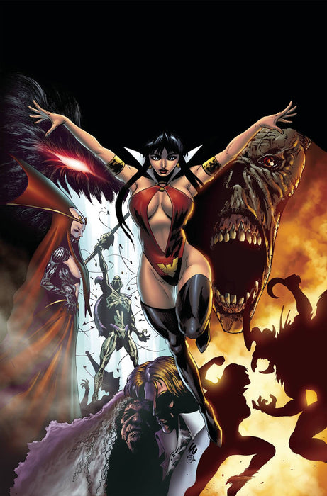 VAMPIRELLA STRIKES #13 CVR I 15 COPY INCV LAU VIRGIN