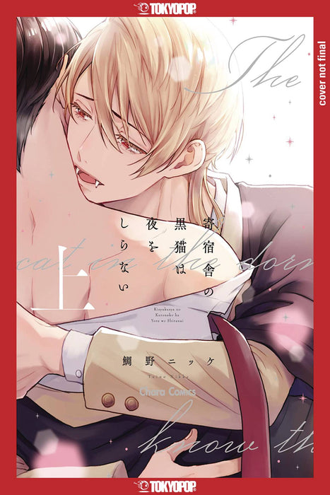 BLACK CAT & VAMPIRE GN VOL 01