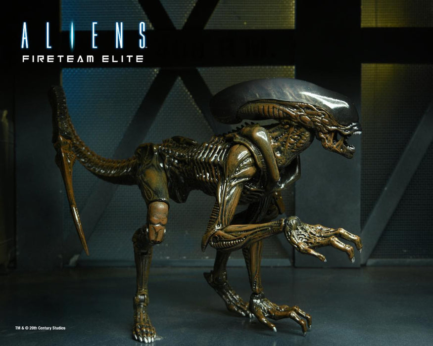 Aliens: Fireteam Elite - 7" Scale Runner Alien Action Figure
