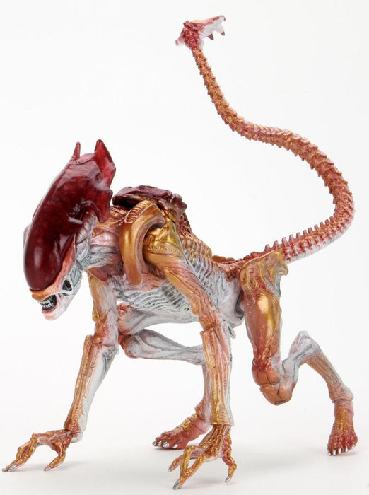 Aliens 7-Inch Scale Action Figure Kenner Tribute Panther Alien