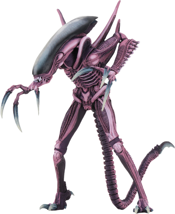 Alien Vs Predator Arcade Appearance Razor Claws Alien Action Figure