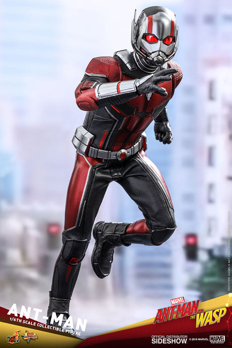 Ant-Man 1:6 Scale Action Figure - Hot Toys