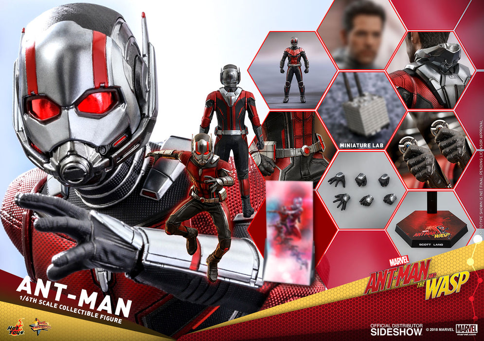 Ant-Man 1:6 Scale Action Figure - Hot Toys