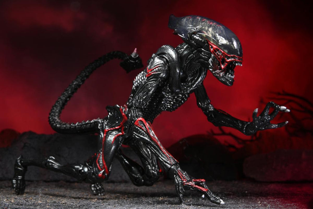 Aliens 7-Inch Scale Action Figure Kenner Tribute Night Cougar Alien